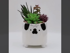 ベストセラー3D動物インスタグラム ミニセラミック 汁の良い植物 花器 オーダーメイド