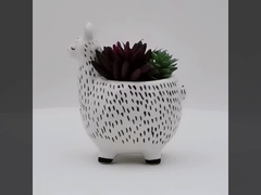 10 インチ セラミック フラワーポット プランター 動物 フラワーポット スキュラント プラント ポット プラント 繁殖