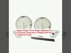 精巧な食器セット 陶器の食器セット モダンなスタイルで カスタマイズされた色